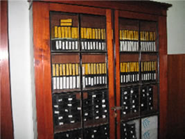 Microform Storage